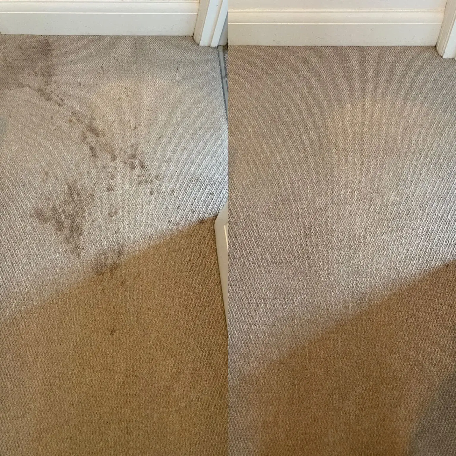 Carpet Cleaning Harpenden