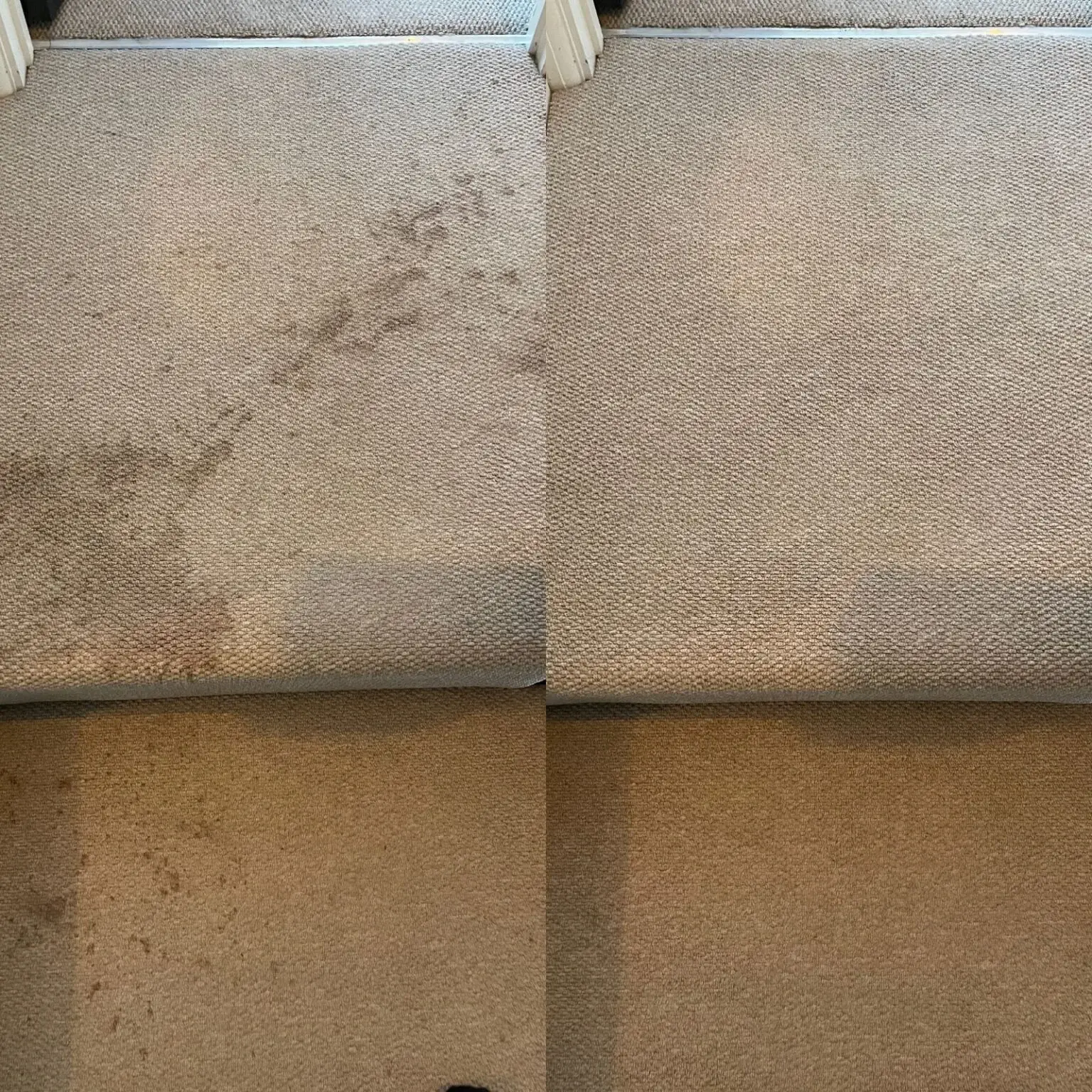 Carpet Cleaning Before & After