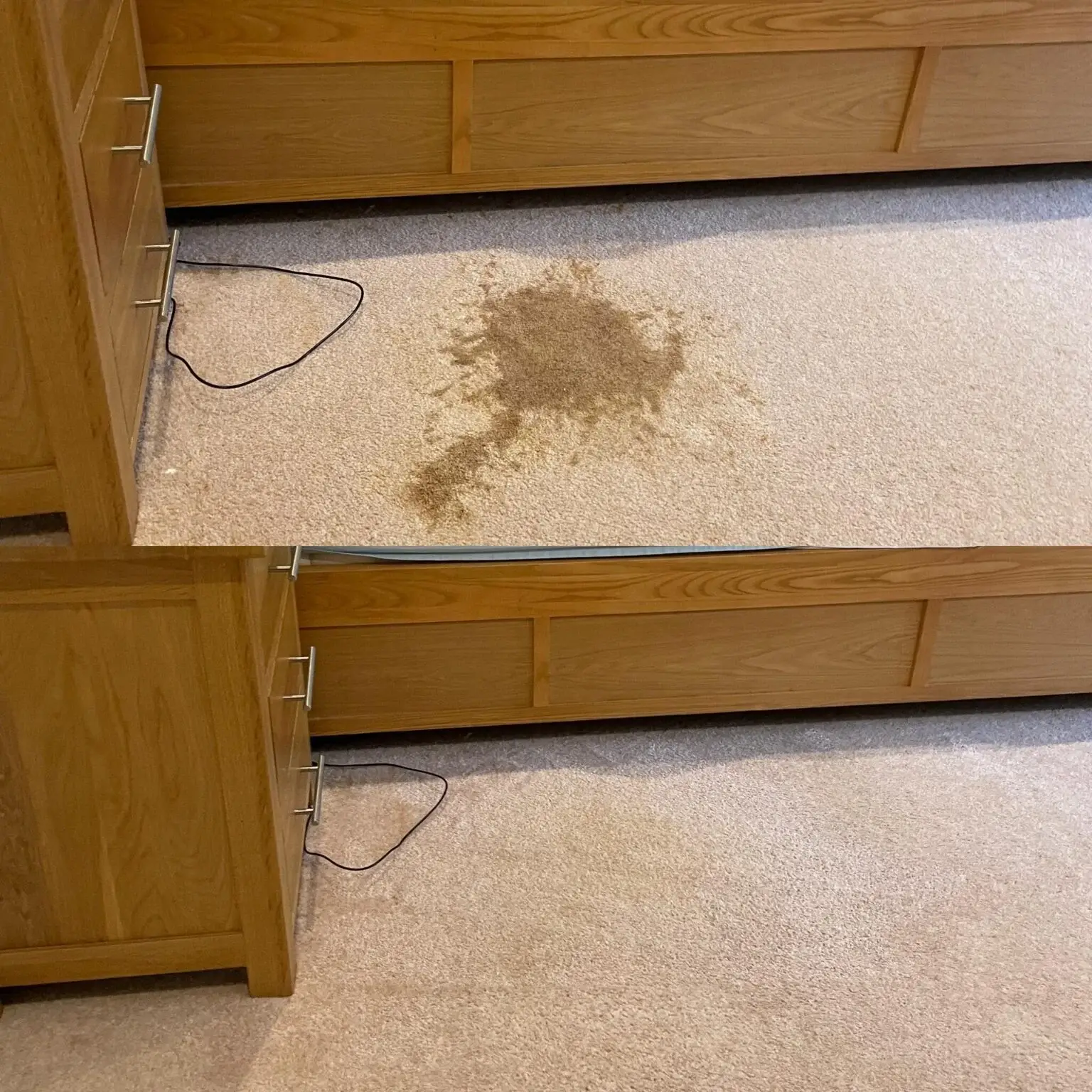 Vomit Stain Removal Carpet