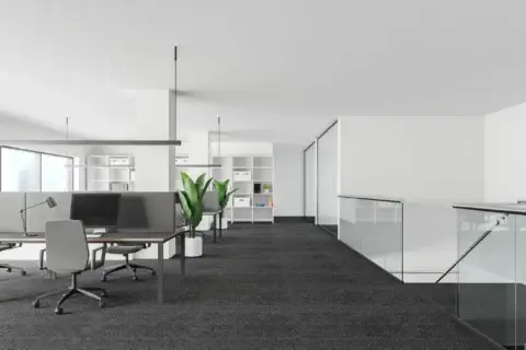 Commercial Carpet Cleaning