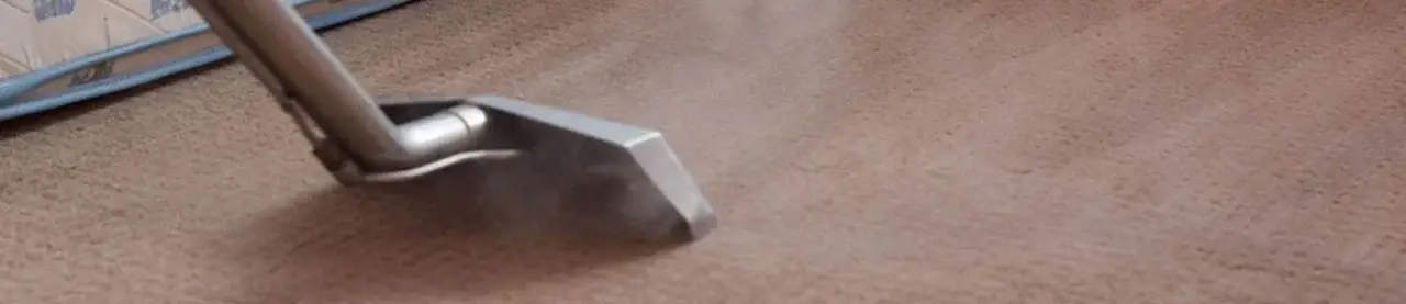 Carpet Steam Cleaning