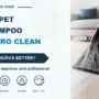 Carpet Shampoo vs Professional Carpet Cleaning: What Works Better?