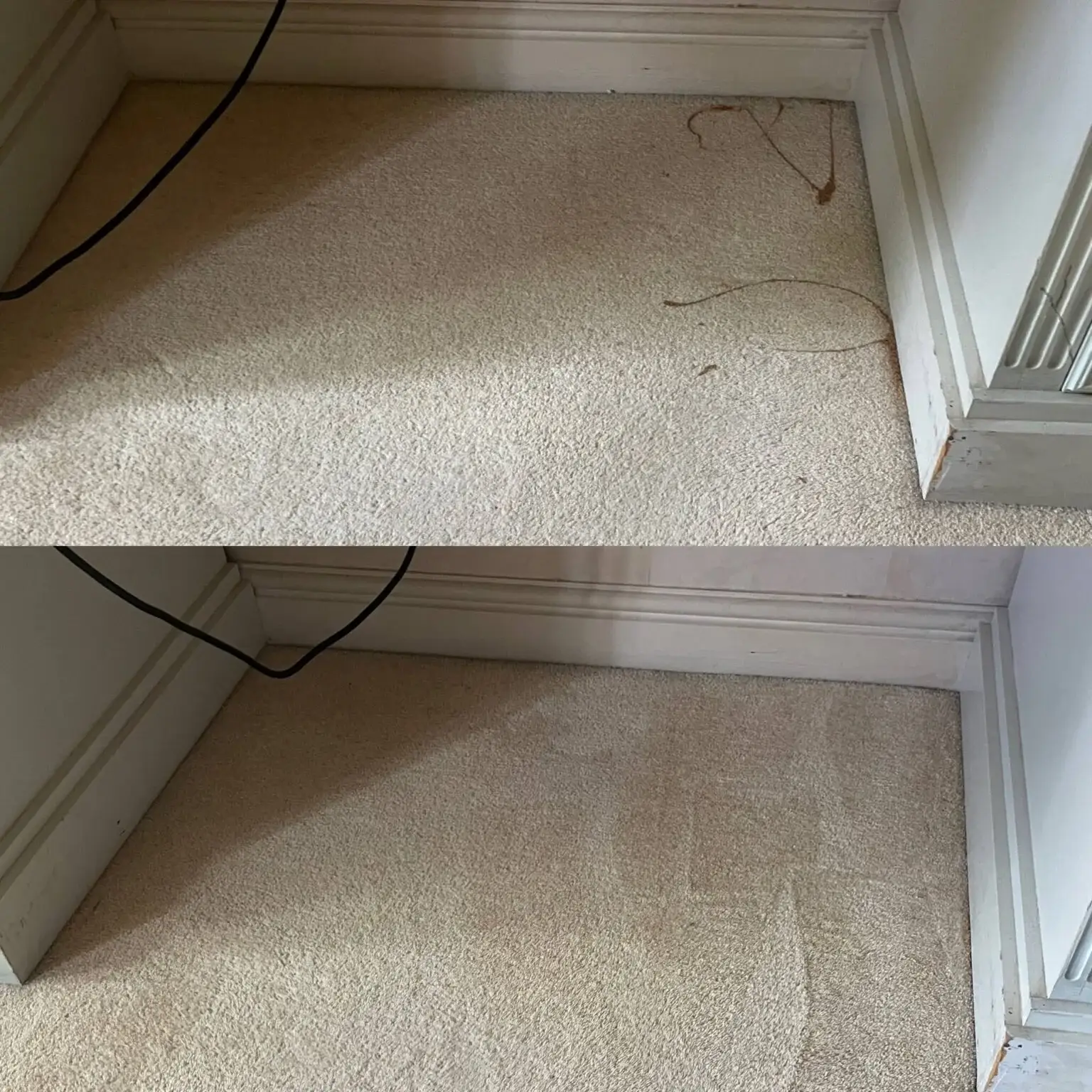 Before & After Carpet Stain Removal