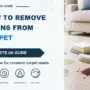 How to Remove Stains From Carpet: Complete UK Guide