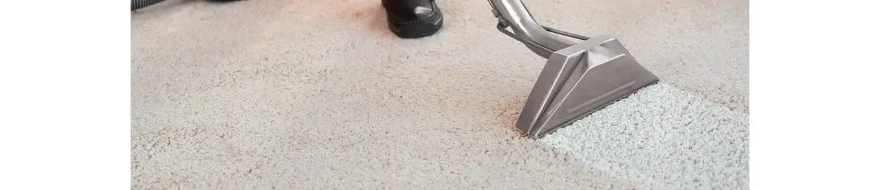 Steam Cleaning Carpet